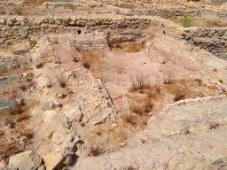 Yacimiento de Villaricos 2012